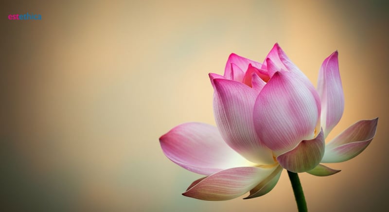 عملية تجميل المهبل: ما هي ولماذا يتم إجراؤها؟
