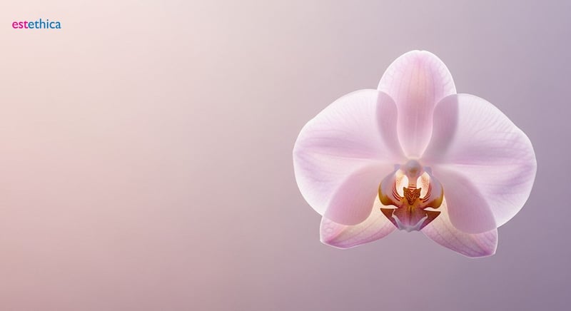 Exploring the Philosophy of Beauty