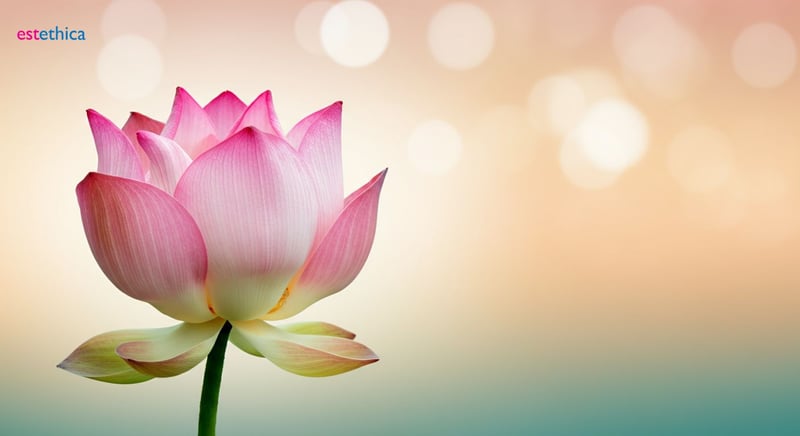 Understanding Vaginal Rejuvenation: Beyond Aesthetics