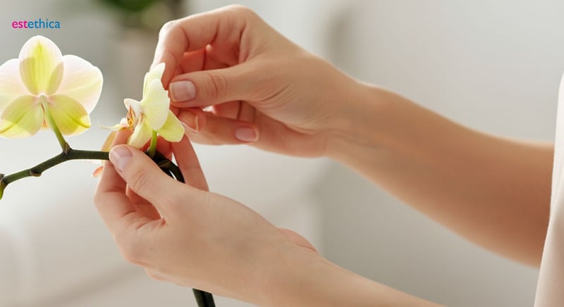 Vaginalverjüngung: Innovative Methoden